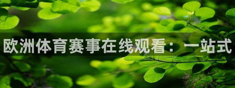 鲸鱼体育怎么免费看直播：欧洲体育赛事在线观看：一站式