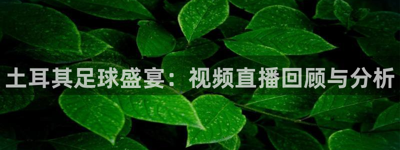 鲸鱼体育直播下载最新版：土耳其足球盛宴：视频直播回顾与分析
