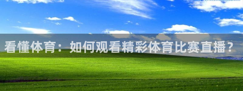 鲸鱼体育直播下载：看懂体育：如何观看精彩体育比赛直播？