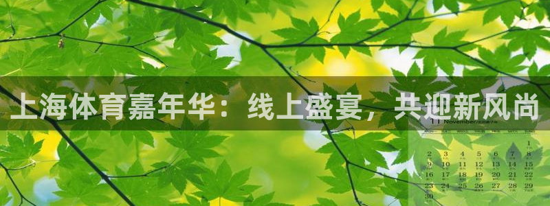 鲸鱼直播体育：上海体育嘉年华：线上盛宴，共迎新风尚