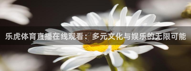 鲸鱼体育在线直播：乐虎体育直播在线观看：多元文化与娱乐的无限可能