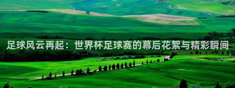 鲸鱼体育在线直播：足球风云再起：世界杯足球赛的幕后花絮与精彩瞬间