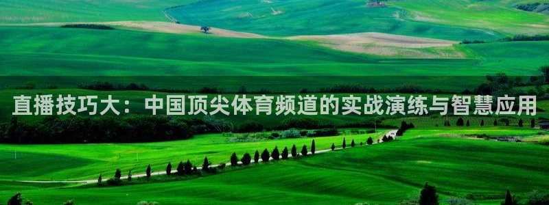 nba鲸鱼体育：直播技巧大：中国顶尖体育频道的实战演练与智慧应用