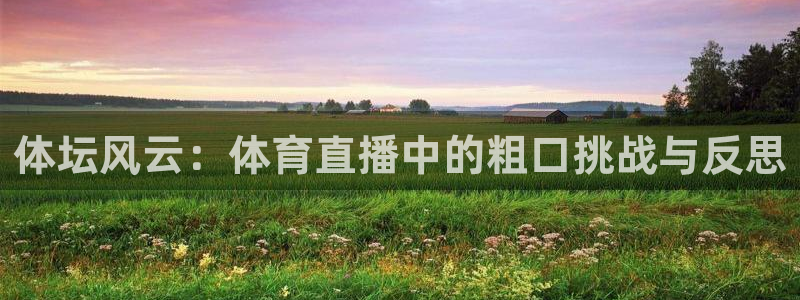 鲸鱼体育免费版：体坛风云：体育直播中的粗口挑战与反思