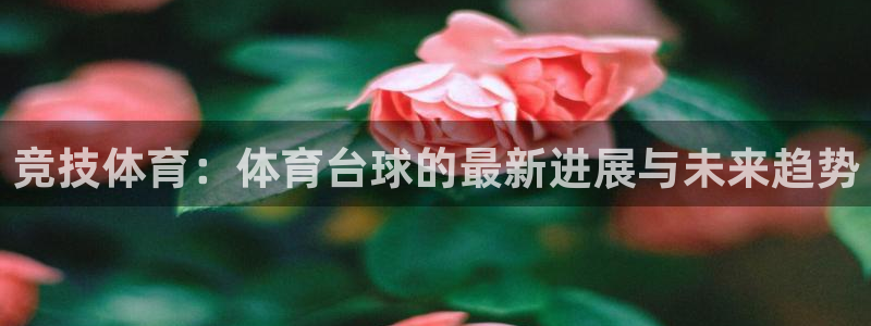 鲸鱼直播足球：竞技体育：体育台球的最新进展与未来趋势