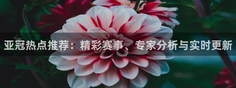 鲸鱼体育网址：亚冠热点推荐：精彩赛事、专家分析与实时更新