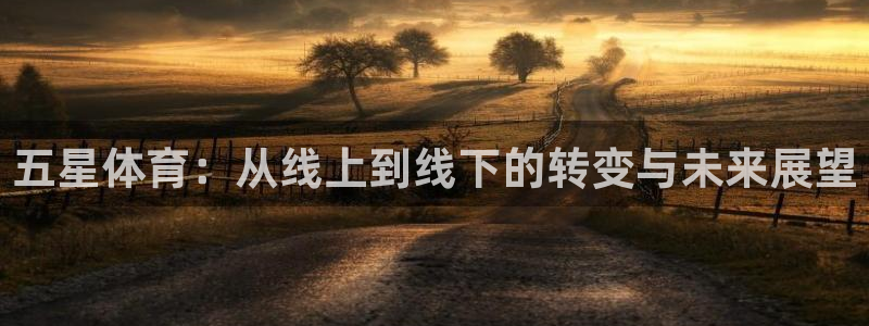鲸鱼体育tv直播：五星体育：从线上到线下的转变与未来展望