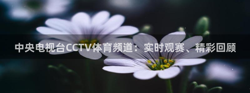 鲸鱼体育nba直播在线观看免费：中央电视台CCTV体育频道：实时观赛、精彩回顾